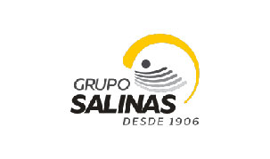 GrupoSalinas_NuevoLogo